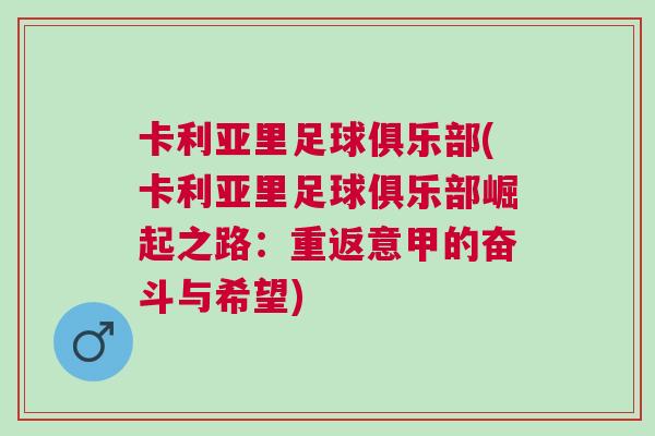 卡利亞里足球俱樂部(卡利亞里足球俱樂部崛起之路:重返意甲的奮斗與希望)