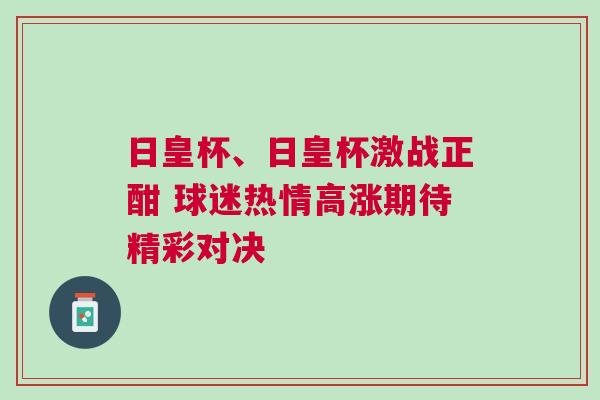 日皇杯、日皇杯激戰正酣 球迷熱情高漲期待精彩對決