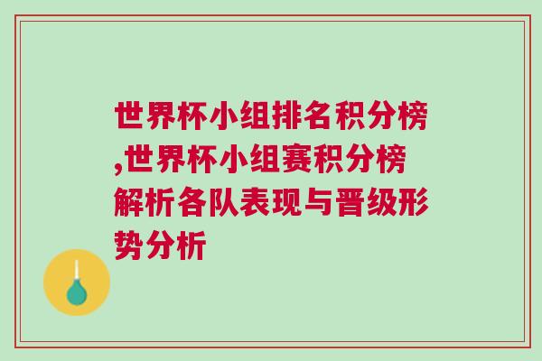 世界杯小組排名積分榜,世界杯小組賽積分榜解析各隊表現與晉級形勢分析