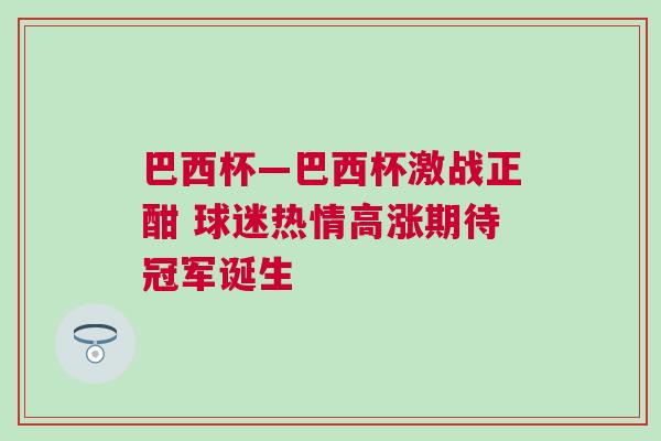 巴西杯—巴西杯激戰正酣 球迷熱情高漲期待冠軍誕生