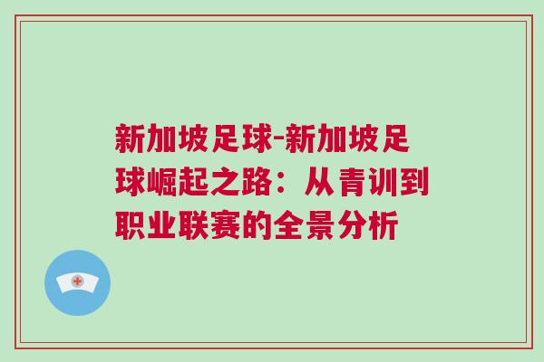 新加坡足球-新加坡足球崛起之路:從青訓(xùn)到職業(yè)聯(lián)賽的全景分析 新加坡足球-新加坡足球崛起之路:從青訓(xùn)到職業(yè)聯(lián)賽的全景分析