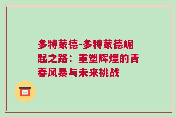 多特蒙德-多特蒙德崛起之路:重塑輝煌的青春風暴與未來挑戰