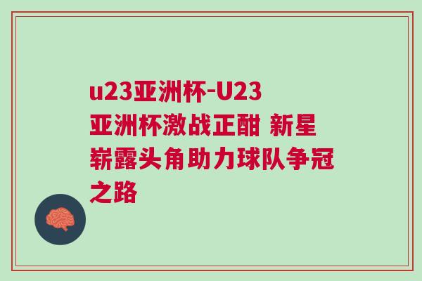 u23亞洲杯-U23亞洲杯激戰正酣 新星嶄露頭角助力球隊爭冠之路