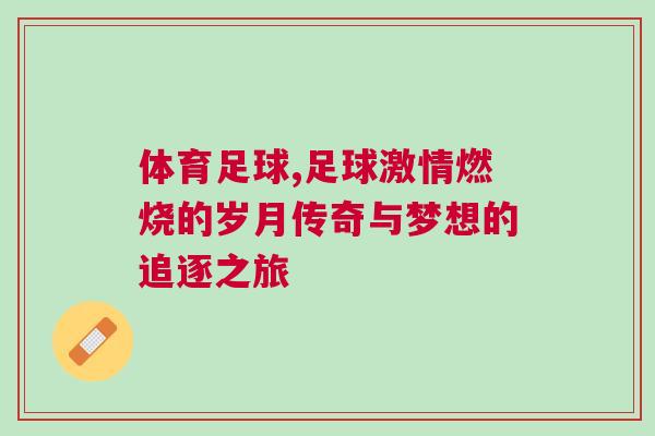 體育足球,足球激情燃燒的歲月傳奇與夢(mèng)想的追逐之旅
