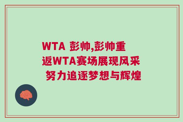 WTA 彭帥,彭帥重返WTA賽場展現風采 努力追逐夢想與輝煌