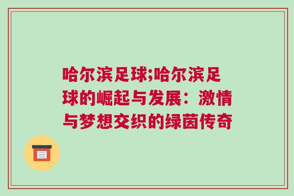 哈爾濱足球;哈爾濱足球的崛起與發展:激情與夢想交織的綠茵傳奇