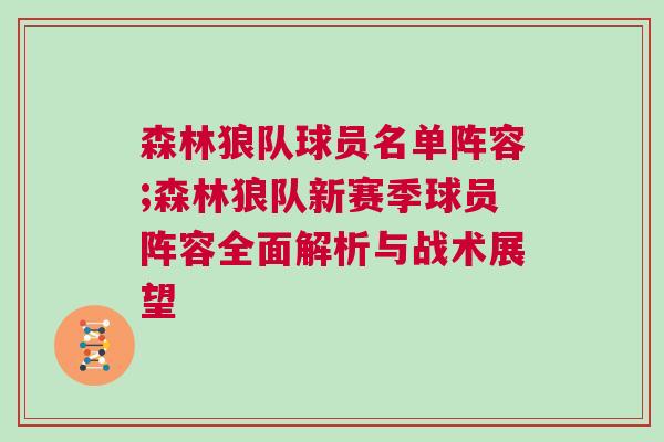 森林狼隊球員名單陣容;森林狼隊新賽季球員陣容全面解析與戰術展望