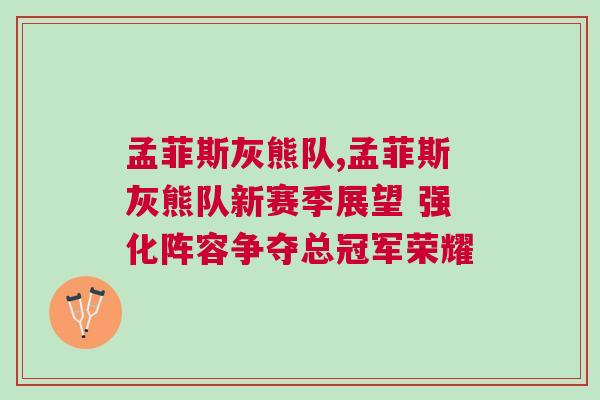 孟菲斯灰熊隊,孟菲斯灰熊隊新賽季展望 強化陣容爭奪總冠軍榮耀