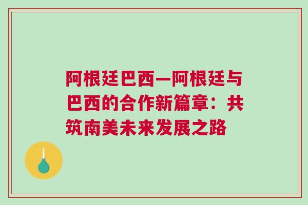 阿根廷巴西—阿根廷與巴西的合作新篇章：共筑南美未來發(fā)展之路