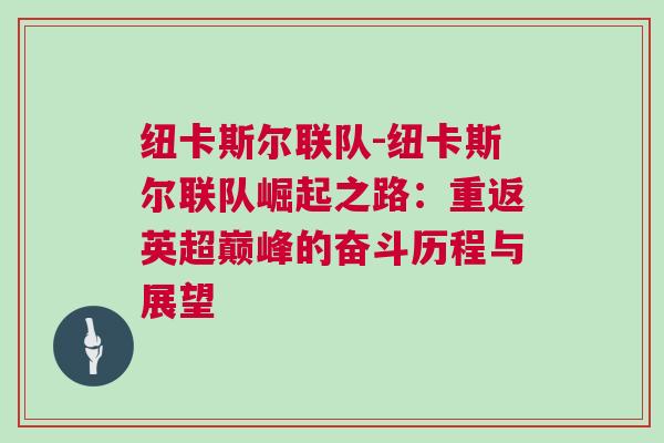 紐卡斯爾聯隊-紐卡斯爾聯隊崛起之路：重返英超巔峰的奮斗歷程與展望