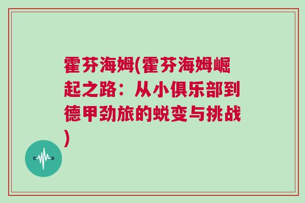 霍芬海姆(霍芬海姆崛起之路:從小俱樂部到德甲勁旅的蛻變與挑戰)
