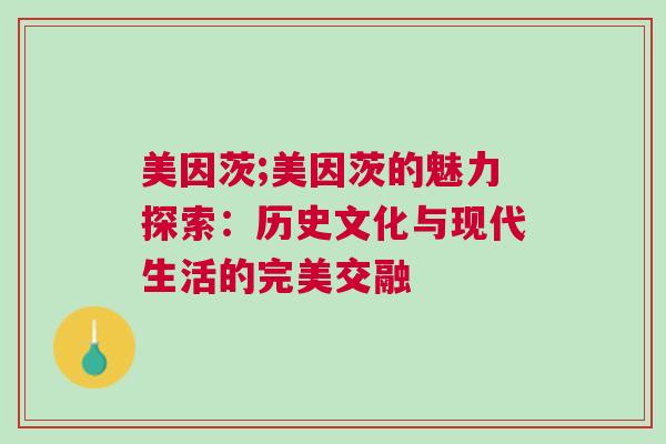 美因茨;美因茨的魅力探索：歷史文化與現代生活的完美交融