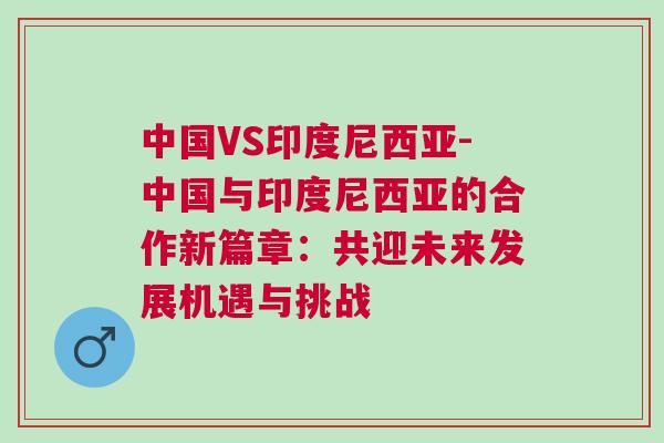 中國VS印度尼西亞-中國與印度尼西亞的合作新篇章：共迎未來發展機遇與挑戰