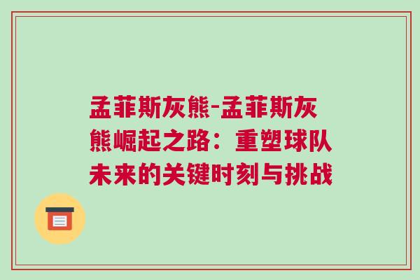 孟菲斯灰熊-孟菲斯灰熊崛起之路：重塑球隊(duì)未來(lái)的關(guān)鍵時(shí)刻與挑戰(zhàn)