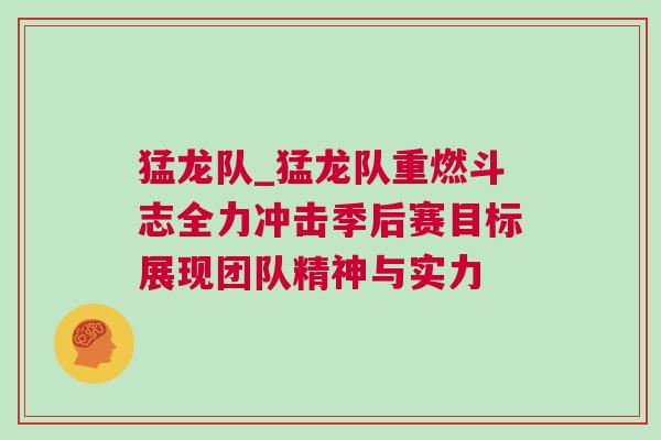 猛龍隊_猛龍隊重燃斗志全力沖擊季后賽目標展現團隊精神與實力