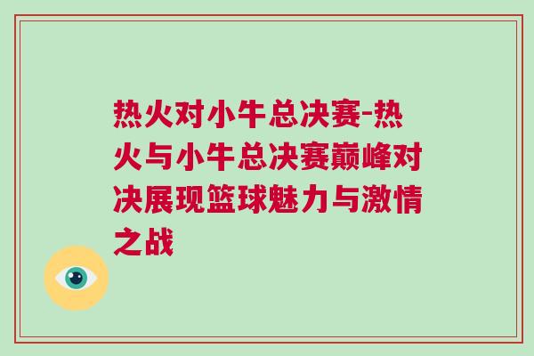 熱火對小牛總決賽-熱火與小牛總決賽巔峰對決展現籃球魅力與激情之戰