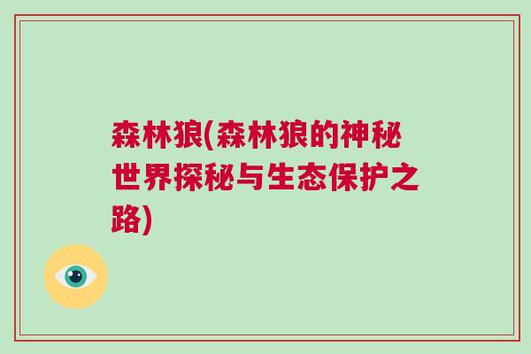 森林狼(森林狼的神秘世界探秘與生態保護之路) 森林狼(森林狼的神秘世界探秘與生態保護之路)