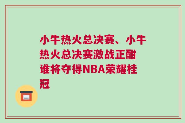 小牛熱火總決賽、小牛熱火總決賽激戰正酣 誰將奪得NBA榮耀桂冠 小牛熱火總決賽、小牛熱火總決賽激戰正酣 誰將奪得NBA榮耀桂冠