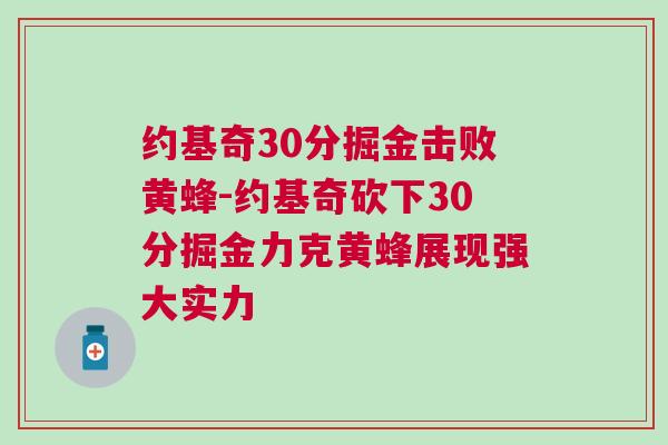 約基奇30分掘金擊敗黃蜂-約基奇砍下30分掘金力克黃蜂展現強大實力