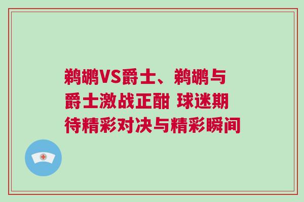 鵜鶘VS爵士、鵜鶘與爵士激戰正酣 球迷期待精彩對決與精彩瞬間