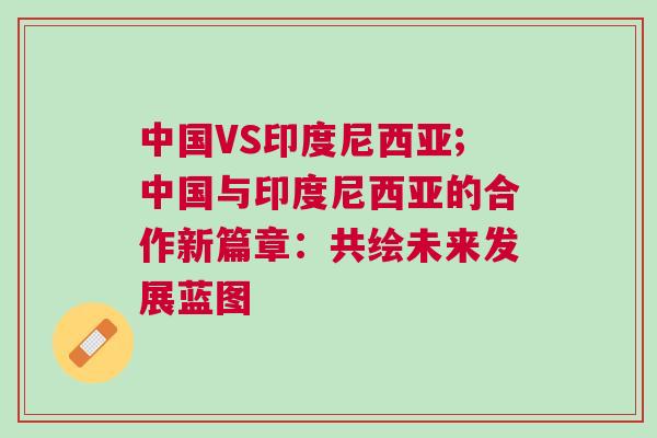 中國VS印度尼西亞;中國與印度尼西亞的合作新篇章：共繪未來發展藍圖