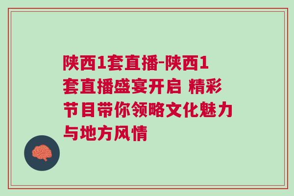 陜西1套直播-陜西1套直播盛宴開啟 精彩節目帶你領略文化魅力與地方風情