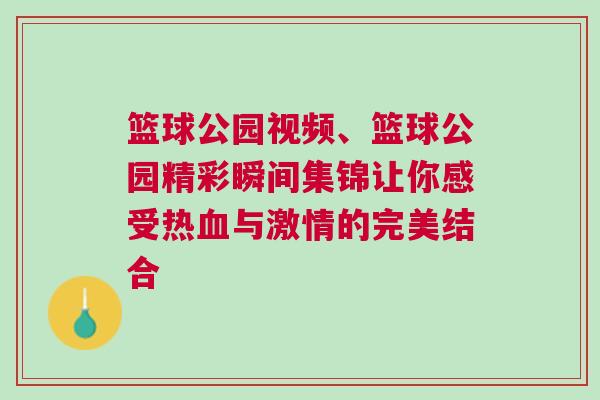 籃球公園視頻、籃球公園精彩瞬間集錦讓你感受熱血與激情的完美結合