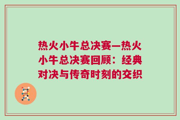 熱火小牛總決賽—熱火小牛總決賽回顧：經典對決與傳奇時刻的交織