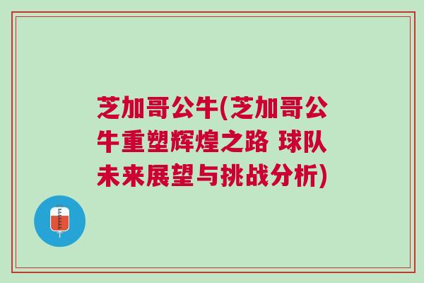 芝加哥公牛(芝加哥公牛重塑輝煌之路 球隊未來展望與挑戰分析)