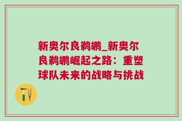 新奧爾良鵜鶘_新奧爾良鵜鶘崛起之路：重塑球隊未來的戰(zhàn)略與挑戰(zhàn)