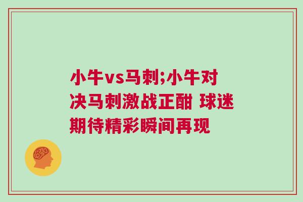 小牛vs馬刺;小牛對決馬刺激戰正酣 球迷期待精彩瞬間再現