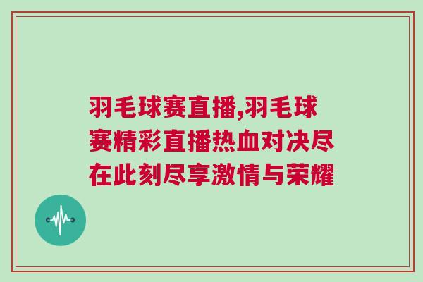 羽毛球賽直播,羽毛球賽精彩直播熱血對決盡在此刻盡享激情與榮耀