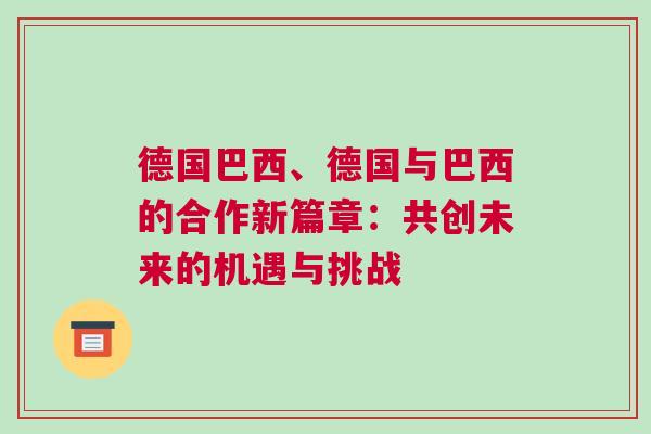 德國巴西、德國與巴西的合作新篇章：共創(chuàng)未來的機(jī)遇與挑戰(zhàn)