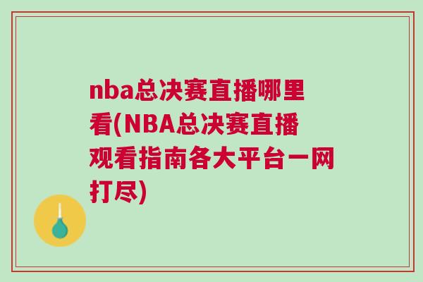 nba總決賽直播哪里看(NBA總決賽直播觀看指南各大平臺一網打盡)