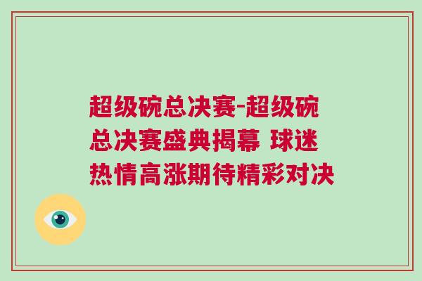 超級碗總決賽-超級碗總決賽盛典揭幕 球迷熱情高漲期待精彩對決